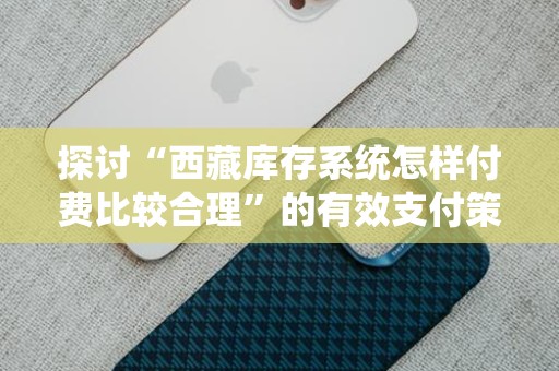 探讨“西藏库存系统怎样付费比较合理”的有效支付策略