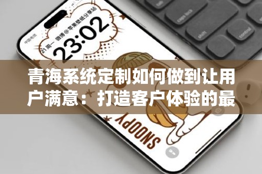 青海系统定制如何做到让用户满意：打造客户体验的最佳实践