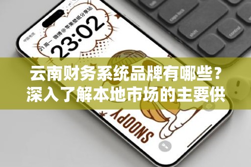 云南财务系统品牌有哪些？深入了解本地市场的主要供应商