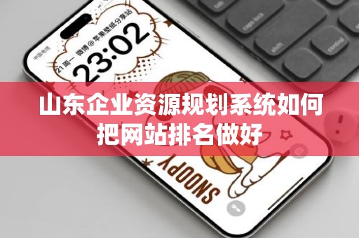 山东企业资源规划系统如何把网站排名做好