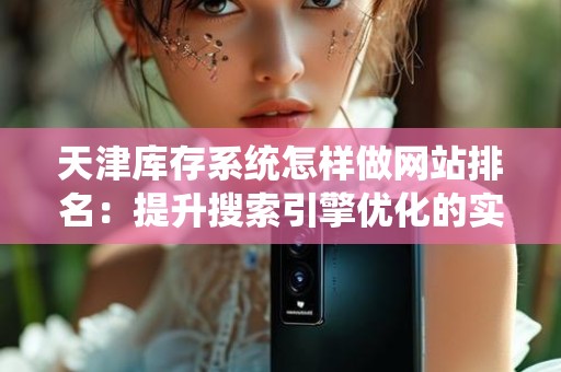 天津库存系统怎样做网站排名：提升搜索引擎优化的实用技巧