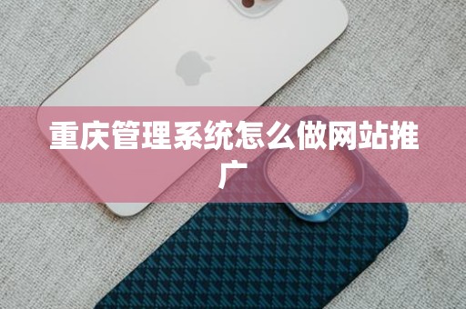 重庆管理系统怎么做网站推广
