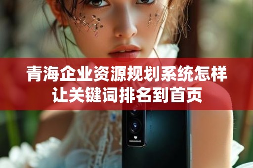 青海企业资源规划系统怎样让关键词排名到首页
