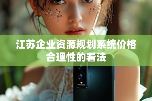江苏企业资源规划系统价格合理性的看法