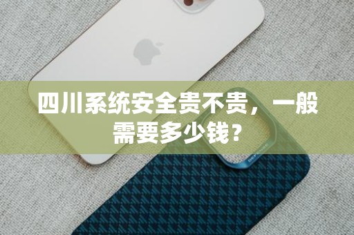 四川系统安全贵不贵，一般需要多少钱？