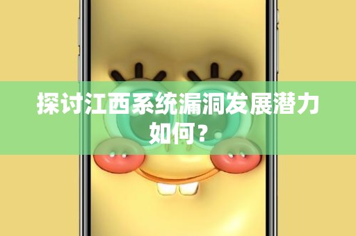 探讨江西系统漏洞发展潜力如何？