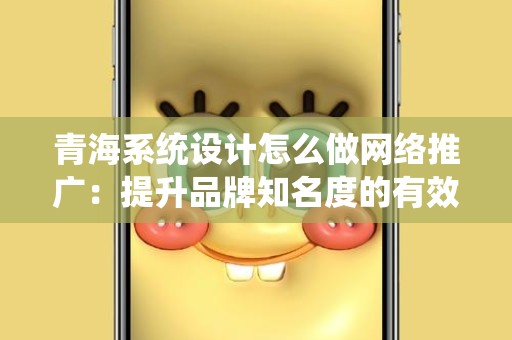 青海系统设计怎么做网络推广：提升品牌知名度的有效策略