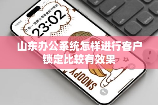山东办公系统怎样进行客户锁定比较有效果