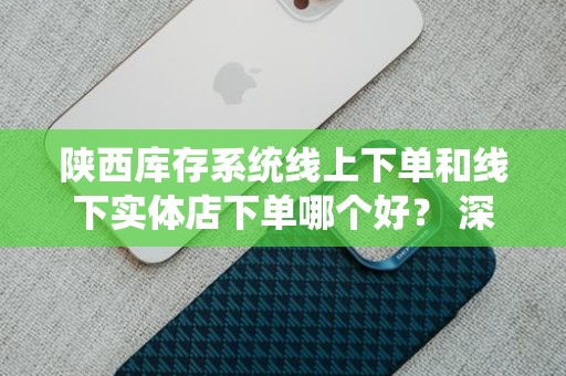 陕西库存系统线上下单和线下实体店下单哪个好？ 深度解析与决策指南