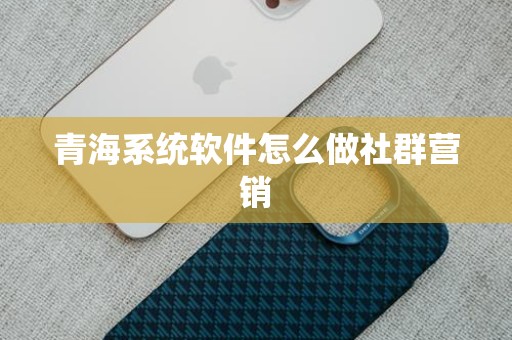 青海系统软件怎么做社群营销