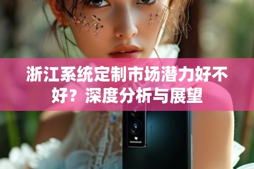 浙江系统定制市场潜力好不好？深度分析与展望