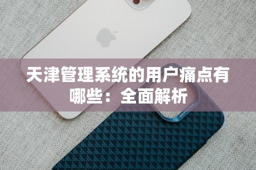 天津管理系统的用户痛点有哪些：全面解析