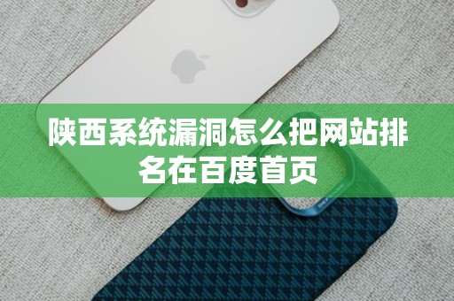 陕西系统漏洞怎么把网站排名在百度首页