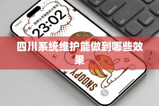 四川系统维护能做到哪些效果