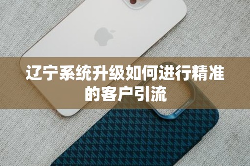 辽宁系统升级如何进行精准的客户引流