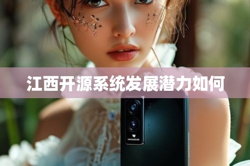 江西开源系统发展潜力如何