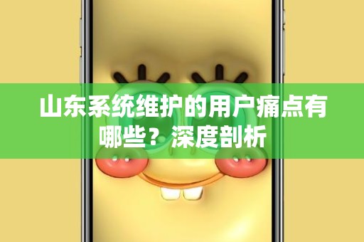 山东系统维护的用户痛点有哪些？深度剖析