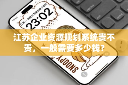 江苏企业资源规划系统贵不贵，一般需要多少钱？