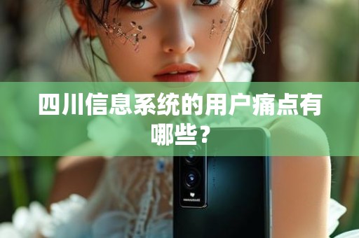 四川信息系统的用户痛点有哪些？