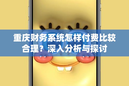 重庆财务系统怎样付费比较合理？深入分析与探讨