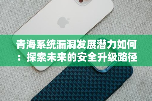 青海系统漏洞发展潜力如何：探索未来的安全升级路径