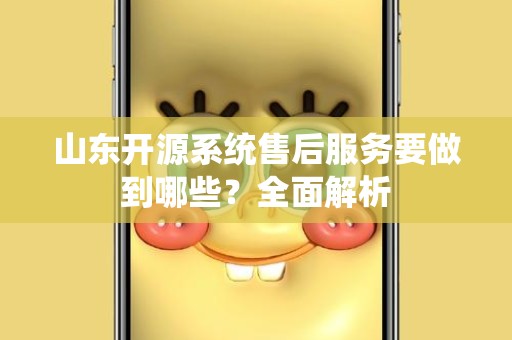 山东开源系统售后服务要做到哪些？全面解析