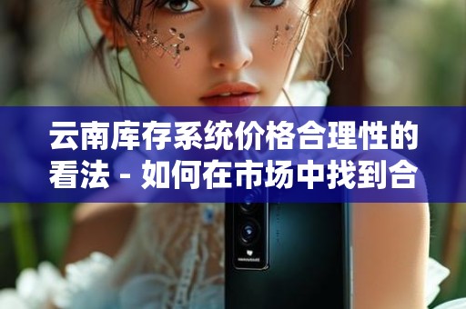 云南库存系统价格合理性的看法 - 如何在市场中找到合适的解决方案