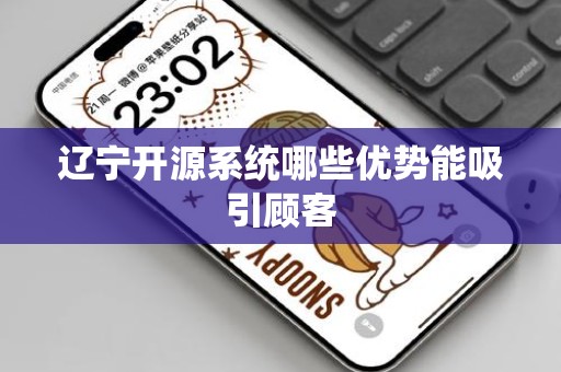 辽宁开源系统哪些优势能吸引顾客
