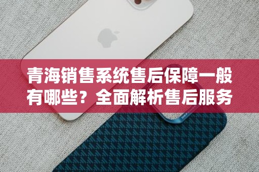 青海销售系统售后保障一般有哪些？全面解析售后服务内容