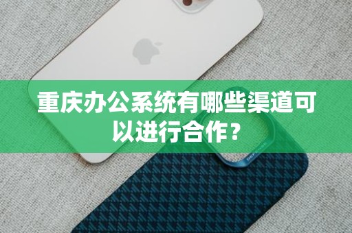 重庆办公系统有哪些渠道可以进行合作？