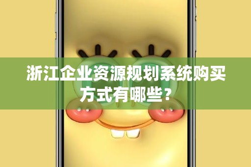 浙江企业资源规划系统购买方式有哪些？