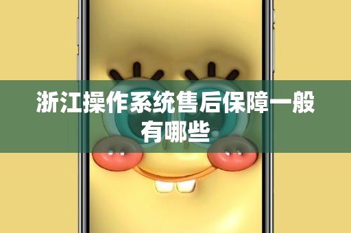 浙江操作系统售后保障一般有哪些