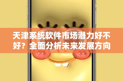 天津系统软件市场潜力好不好？全面分析未来发展方向