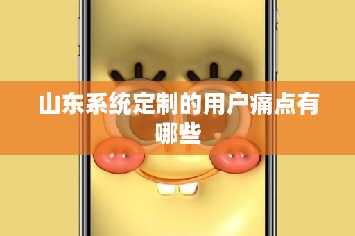 山东系统定制的用户痛点有哪些