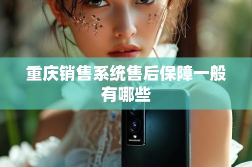 重庆销售系统售后保障一般有哪些