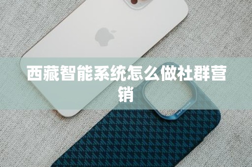 西藏智能系统怎么做社群营销