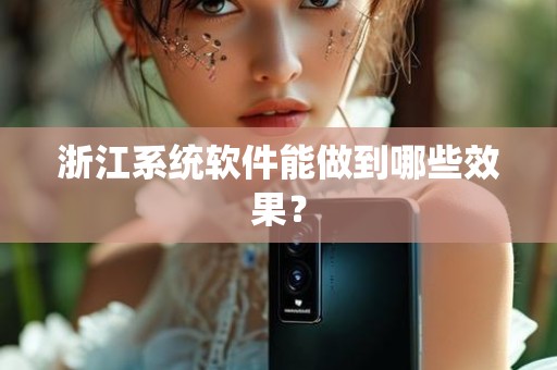 浙江系统软件能做到哪些效果？
