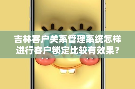 吉林客户关系管理系统怎样进行客户锁定比较有效果？