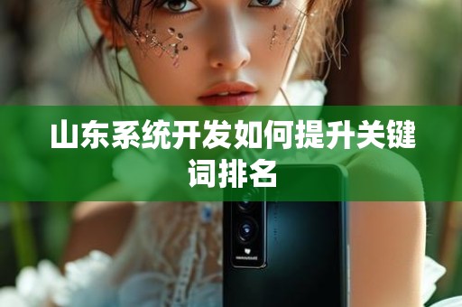 山东系统开发如何提升关键词排名