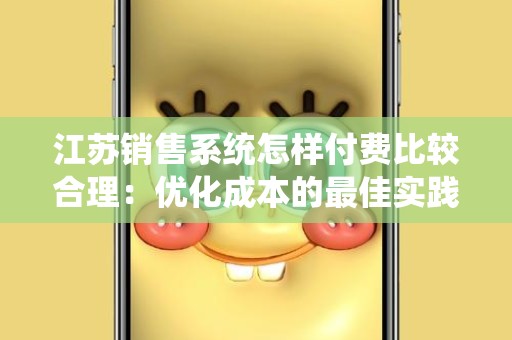 江苏销售系统怎样付费比较合理：优化成本的最佳实践