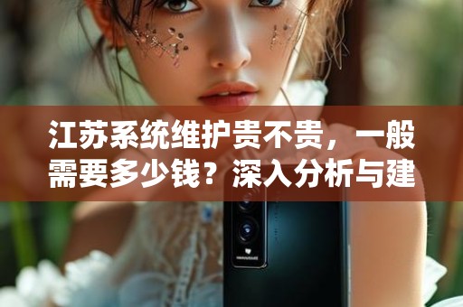 江苏系统维护贵不贵，一般需要多少钱？深入分析与建议