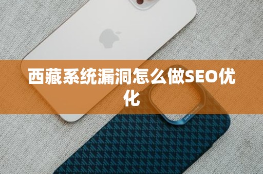 西藏系统漏洞怎么做SEO优化