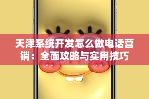 天津系统开发怎么做电话营销：全面攻略与实用技巧