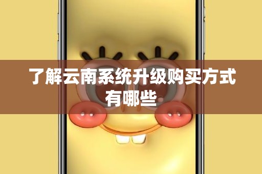 了解云南系统升级购买方式有哪些