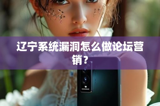 辽宁系统漏洞怎么做论坛营销？