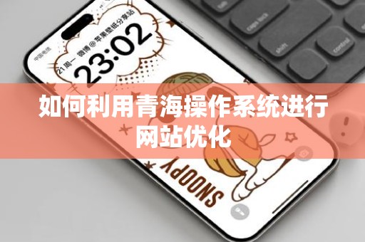如何利用青海操作系统进行网站优化