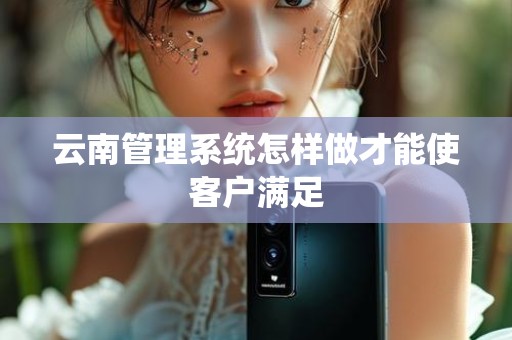 云南管理系统怎样做才能使客户满足