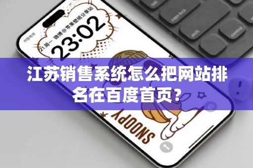 江苏销售系统怎么把网站排名在百度首页？