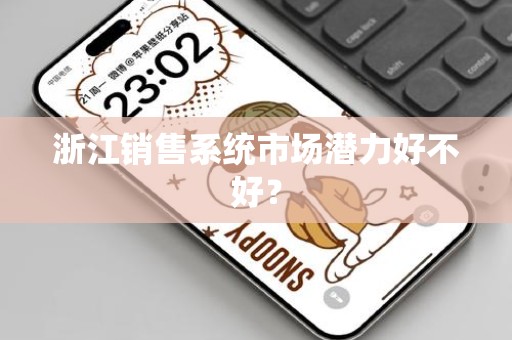 浙江销售系统市场潜力好不好？