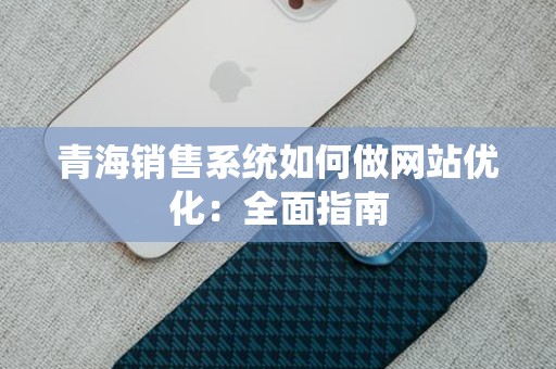青海销售系统如何做网站优化：全面指南